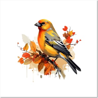 Finch Bird Posters and Art